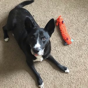 Meet your Posher, Charlotte